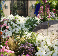 Juliet's garden