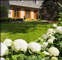 Joanne's garden