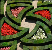 Jia's garden